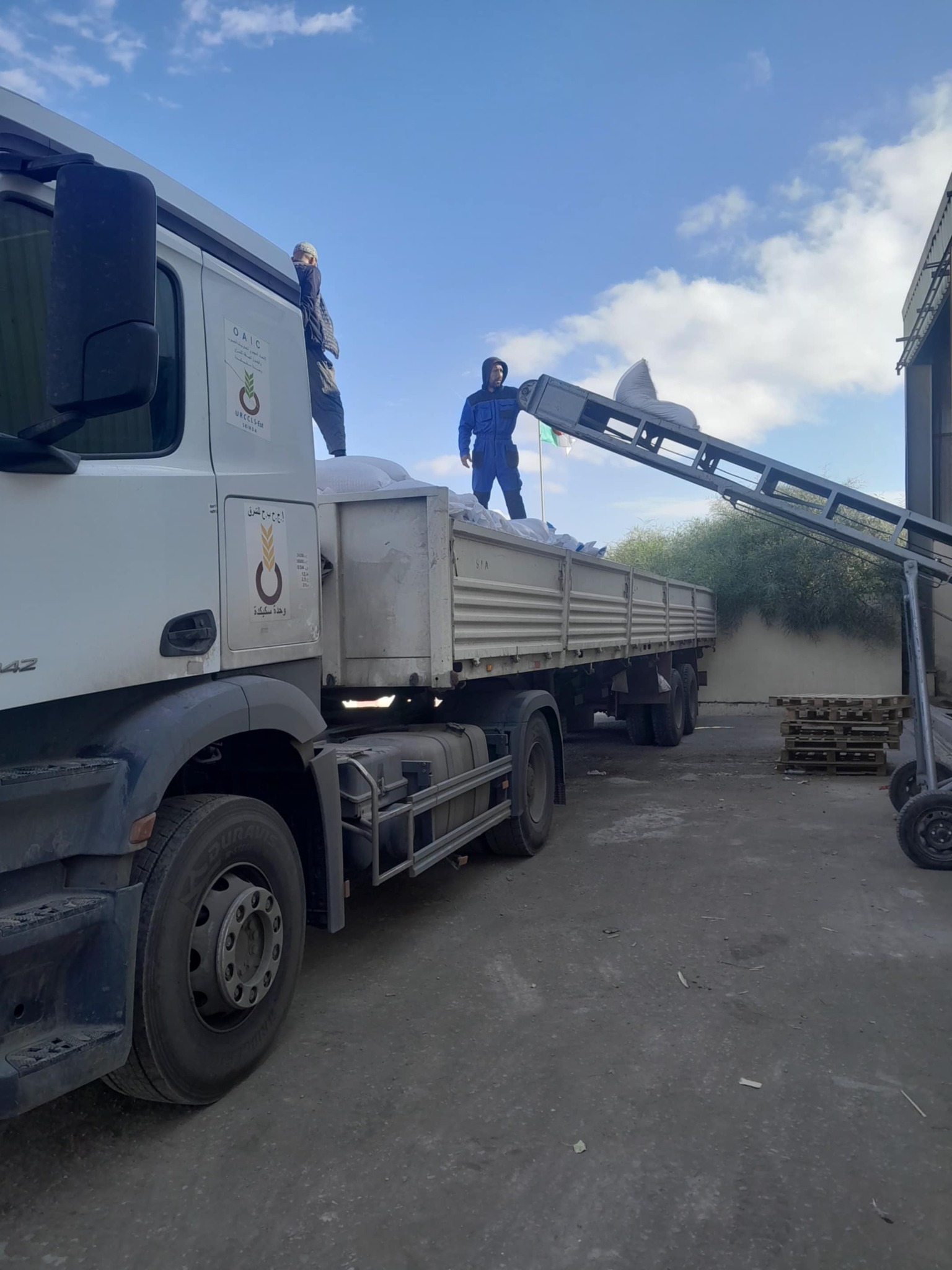 حملة الحرث و البذر للموسم الفلاحي 2026/2025