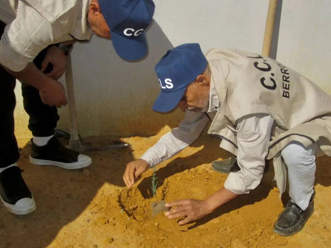 حملة التشجير الكبرى